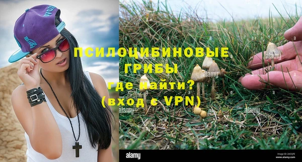 Альфа ПВП Богданович