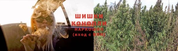 Альфа ПВП Богданович