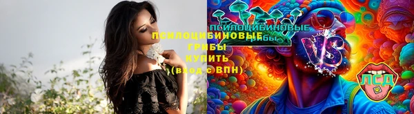 Альфа ПВП Богданович