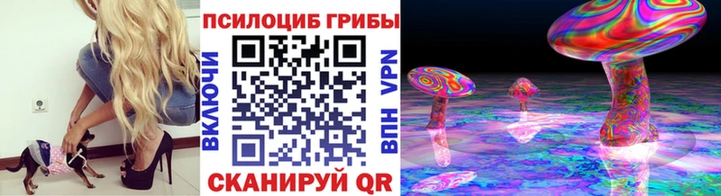 МЕГА зеркало  Богородицк  Псилоцибиновые грибы MAGIC MUSHROOMS  купить закладку 
